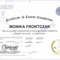 Powiększ obraz: certificate 10