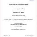 Powiększ obraz: certificate 4