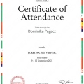 Powiększ obraz: certificate 4