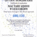 Powiększ obraz: certificate 3