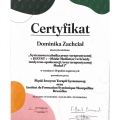 Powiększ obraz: certificate 6