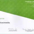 Powiększ obraz: certificate 3