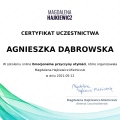 Powiększ obraz: certificate 3