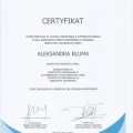 Powiększ obraz: certificate 2