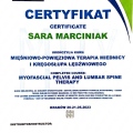 Powiększ obraz: certificate 11
