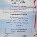 Powiększ obraz: certificate 1
