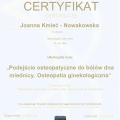 Powiększ obraz: certificate 1