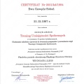 Powiększ obraz: certificate 4
