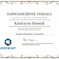 Powiększ obraz: certificate 10