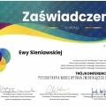 Powiększ obraz: certificate 8