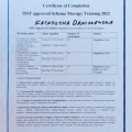 Powiększ obraz: certificate 6