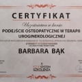 Powiększ obraz: certificate 9