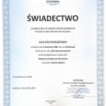 Powiększ obraz: certificate 19