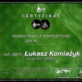 Powiększ obraz: certificate 5