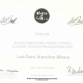 Powiększ obraz: certificate 11