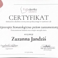 Powiększ obraz: certificate 1