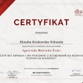 Powiększ obraz: certificate 2