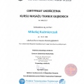 Powiększ obraz: certificate 3