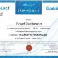 Powiększ obraz: certificate 4