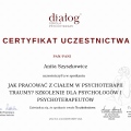 Powiększ obraz: certificate 16