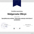Powiększ obraz: certificate 26