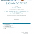 Powiększ obraz: certificate 5