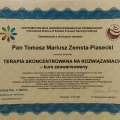 Powiększ obraz: certificate 2