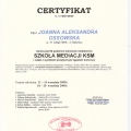 Powiększ obraz: certificate 11