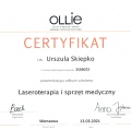 Powiększ obraz: certificate 1