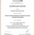 Powiększ obraz: certificate 9