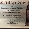 Powiększ obraz: certificate 10