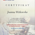 Powiększ obraz: certificate 13