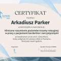 Powiększ obraz: certificate 13