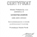 Powiększ obraz: certificate 3