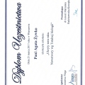Powiększ obraz: certificate 16