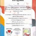 Powiększ obraz: certificate 4