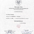 Powiększ obraz: certificate 7