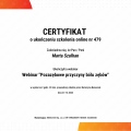 Powiększ obraz: certificate 17