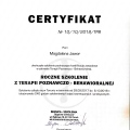 Powiększ obraz: certificate 1