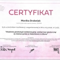 Powiększ obraz: certificate 2