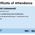Powiększ obraz: certificate 3