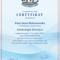 Powiększ obraz: certificate 3