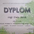 Powiększ obraz: certificate 1