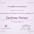Powiększ obraz: certificate 13