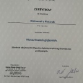 Powiększ obraz: certificate 1