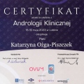 Powiększ obraz: certificate 12