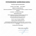 Powiększ obraz: certificate 8