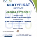 Powiększ obraz: certificate 9
