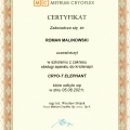 Powiększ obraz: certificate 21