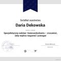 Powiększ obraz: certificate 7